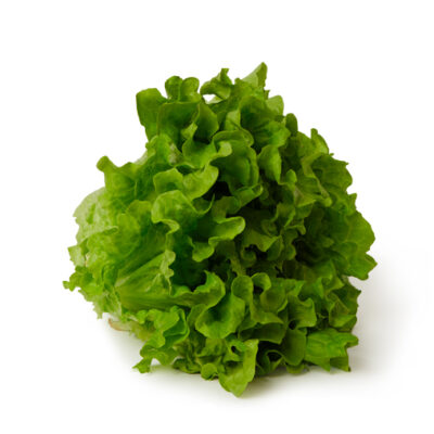 Lechuga