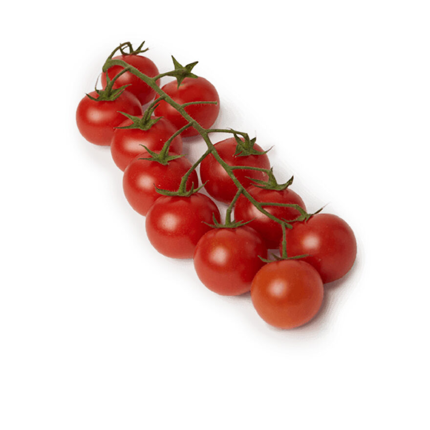 Tomate cherry